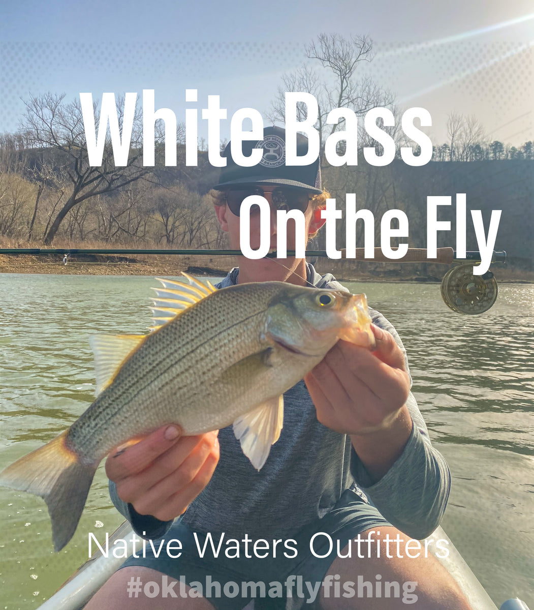 1 BEST White Bass Lures for the Spring Spawning Run - White Bass