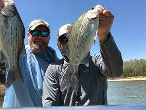 White Bass (Sand Bass) Guided Trips